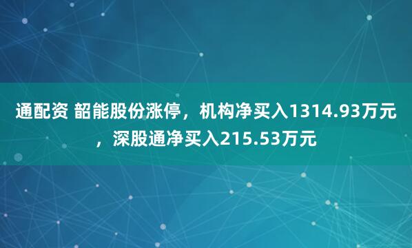 通配资 韶能股份涨停，机构净买入1314.93万元，深股通净买入215.53万元